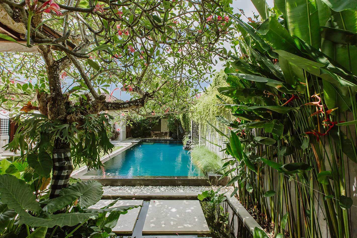 villa in bali, jimbaran villa, jimbaran resort, bali resort, pronoia villa, pronoia resort